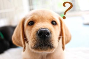 Webサイトの疑問を解決に導きます